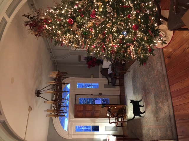 Edgehill Christmas foyer