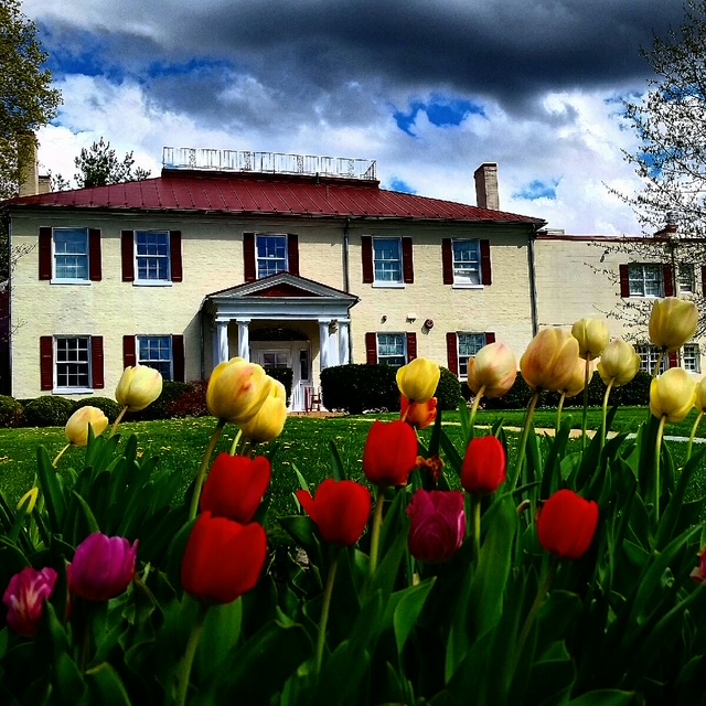 Edgehill exterior with red flowers