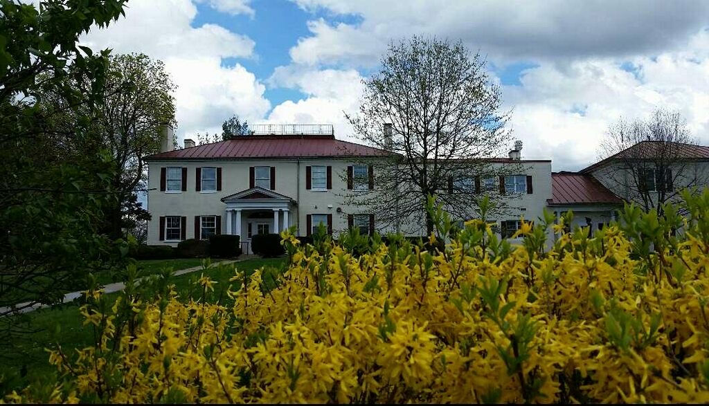 Edgehill exterior with yellow flowers