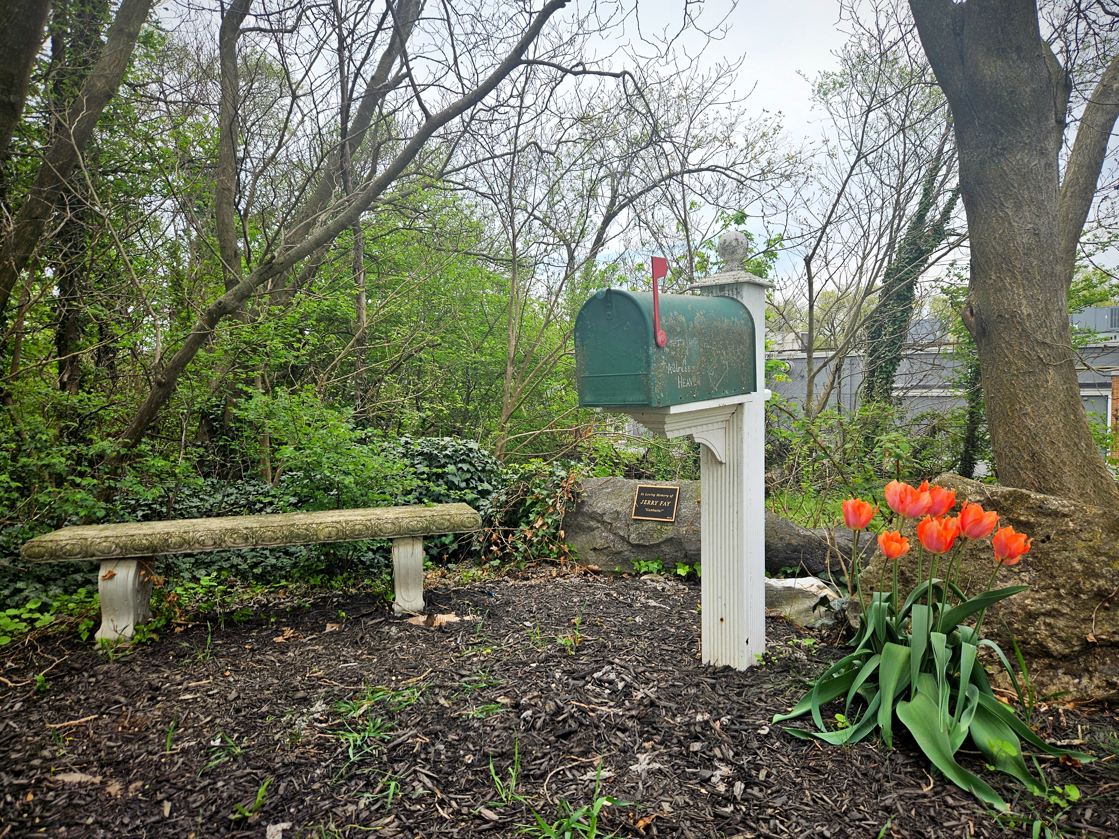 The memorial garden at Edgehill with bench, mailbox, and tulips